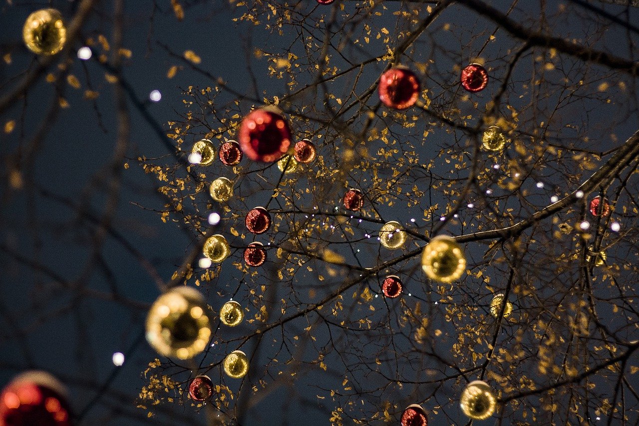 ornaments, trees, lights-4927258.jpg